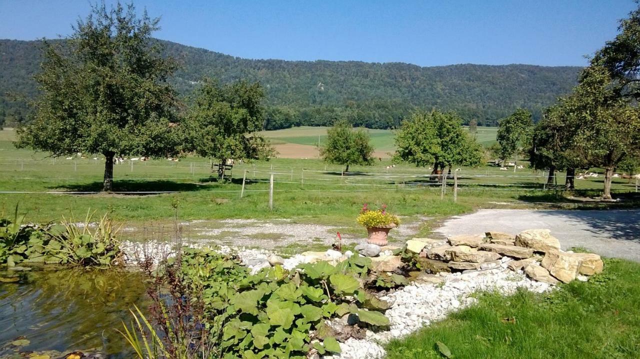 Apartement-Gite Rural A 3 Km De Delemont Courcelon Dış mekan fotoğraf